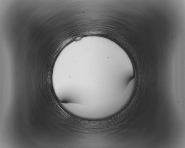 X0000103331177200810061008