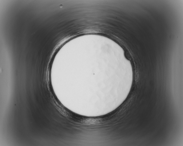 X0000103331179200810061008