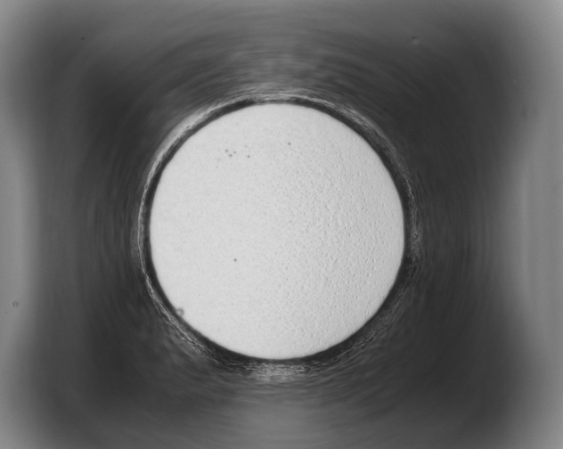 X0000103331183200810061008