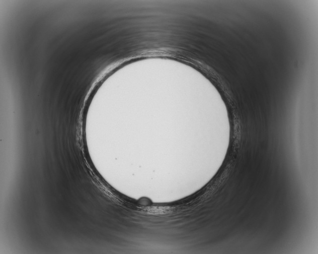 X0000103331184200810061008