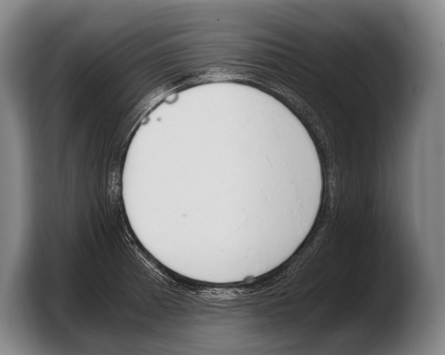 X0000103331185200810061008