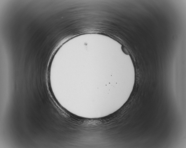 X0000103331187200810061008