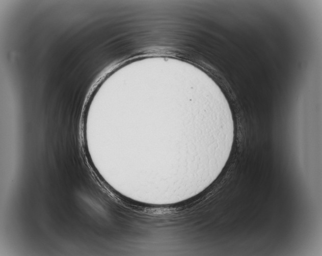 X0000103331188200810061008