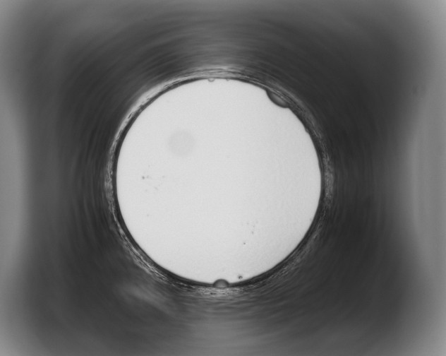 X0000103331192200810061008