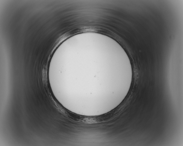 X0000103331194200810061008