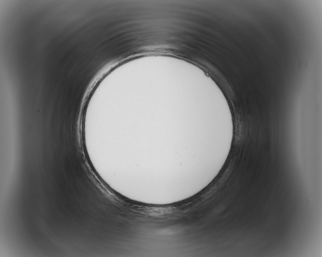 X0000103331196200810061008