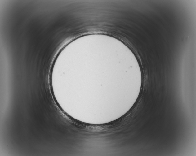 X0000103331197200810061008