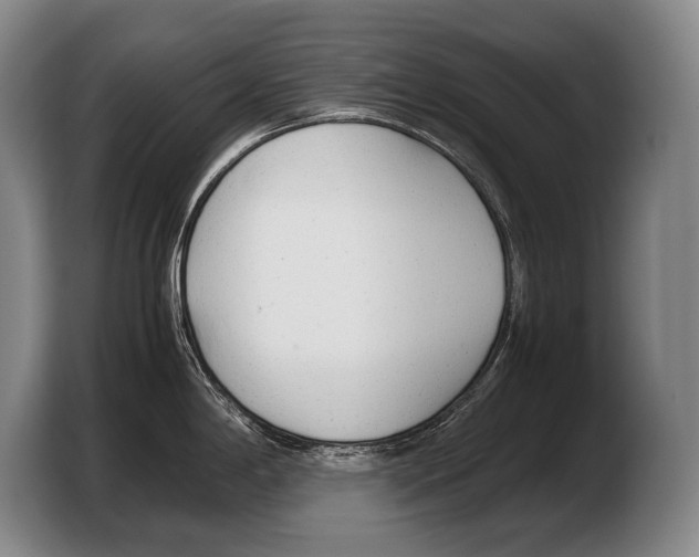 X0000103331198200810061008