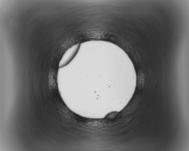 X0000103331202200810061008