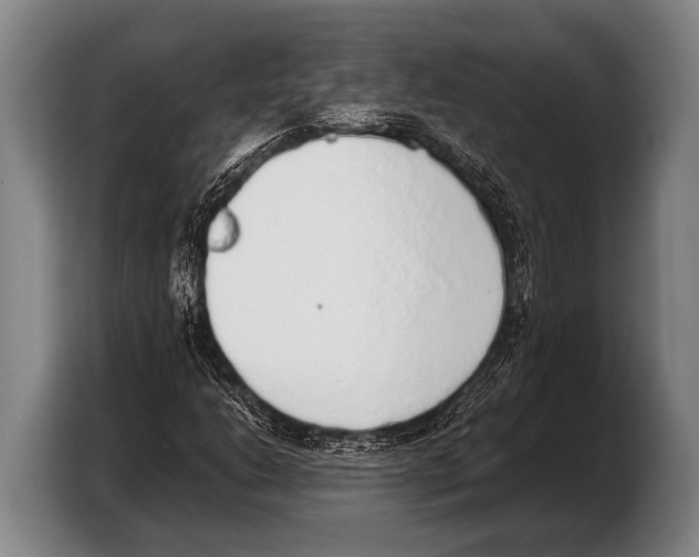 X0000103331206200810061008