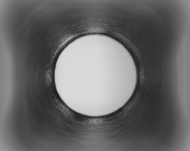 X0000103331212200810061008