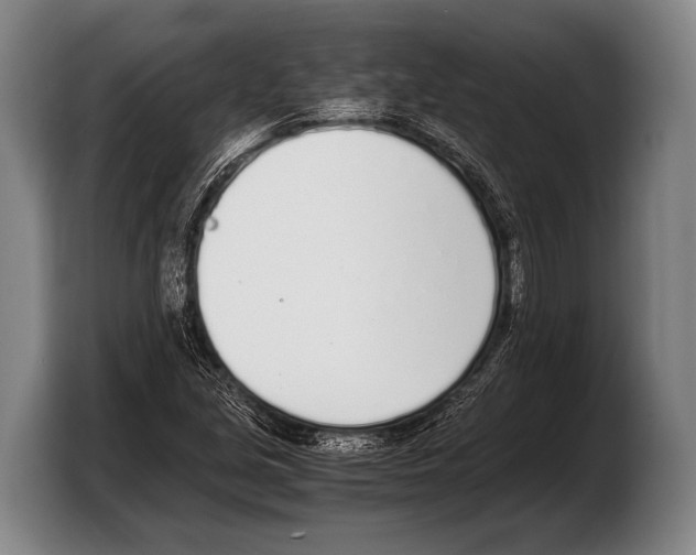 X0000103331213200810061008