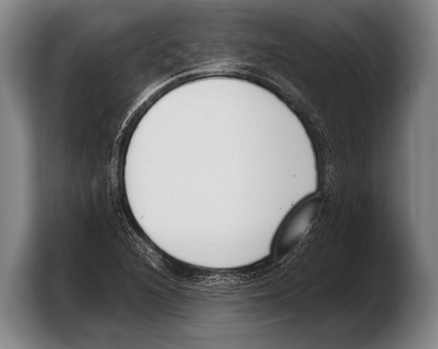 X0000103331216200810061008