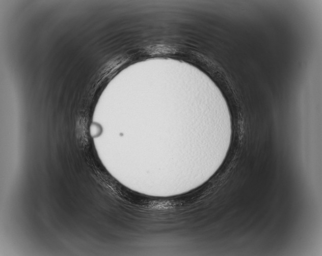 X0000103331217200810061008