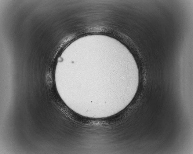 X0000103331218200810061008