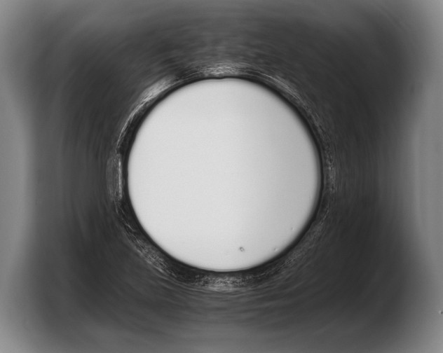 X0000103331219200810061008