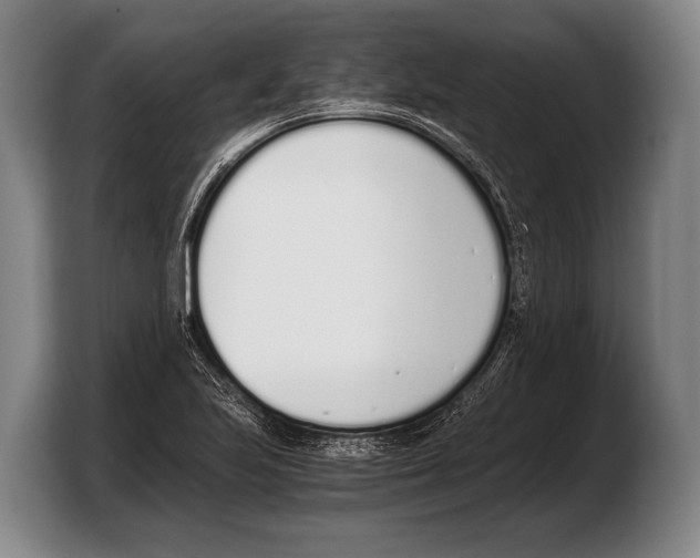 X0000103331223200810061008