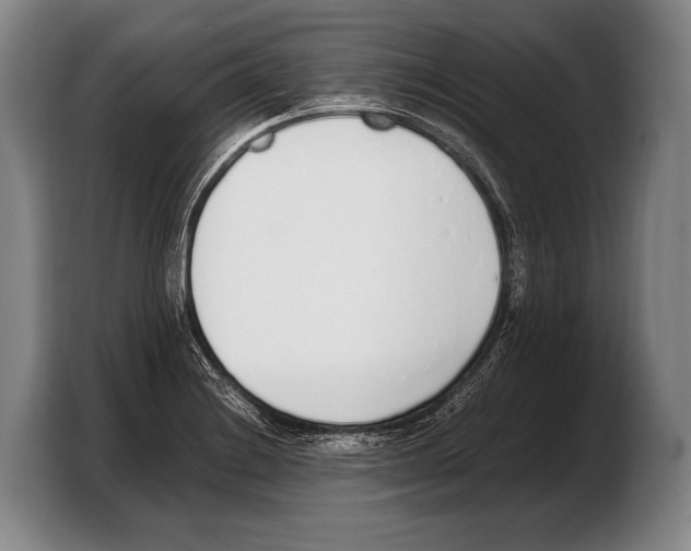 X0000103331228200810061008