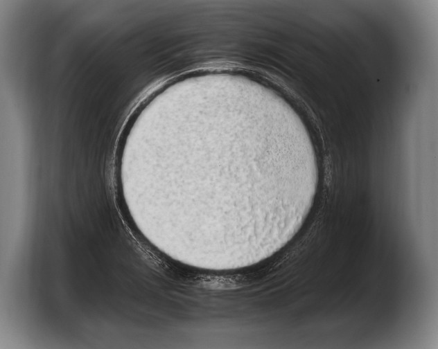 X0000103331229200810061008