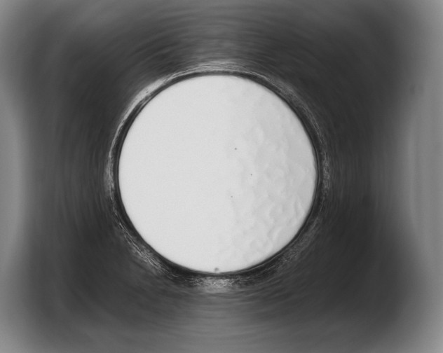 X0000103331230200810061008