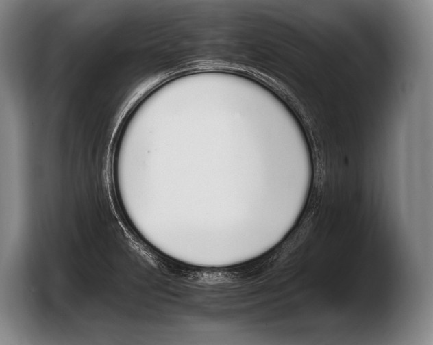 X0000103331231200810061008