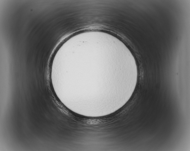 X0000103331232200810061008