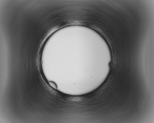 X0000103331235200810061008