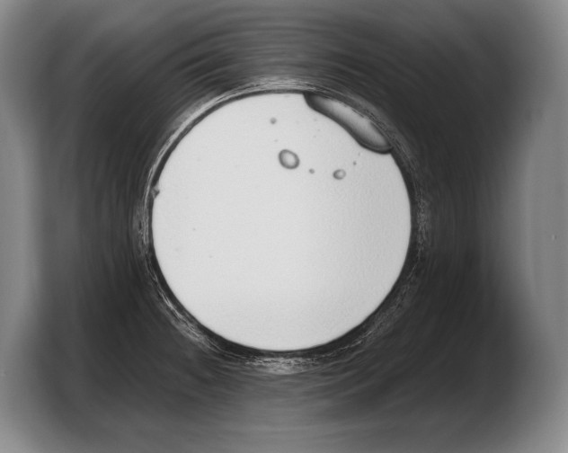 X0000103331236200810061008