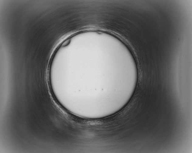 X0000103331239200810061008