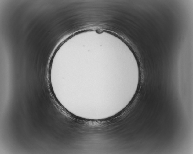 X0000103331240200810061008