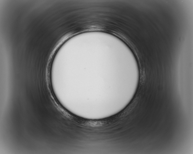 X0000103331243200810061008