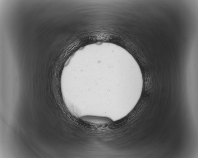 X0000103331249200810061008