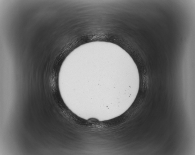 X0000103331250200810061008