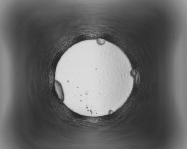 X0000103331251200810061008