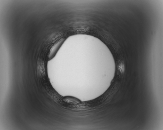 X0000103331252200810061008