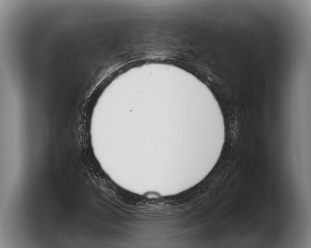 X0000103331256200810061007