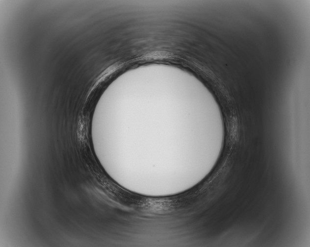 X0000103331258200810061007