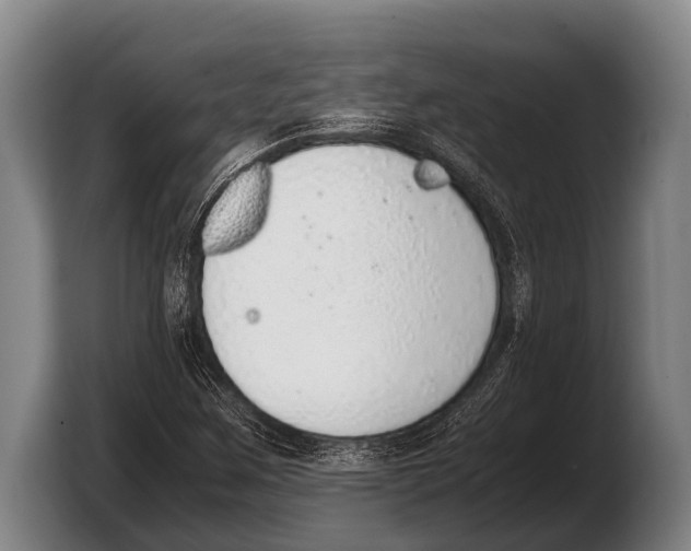 X0000103331259200810061007