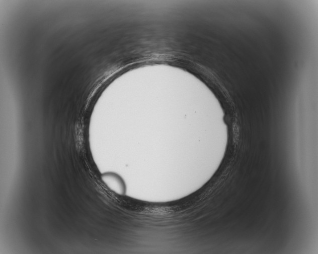 X0000103331260200810061007