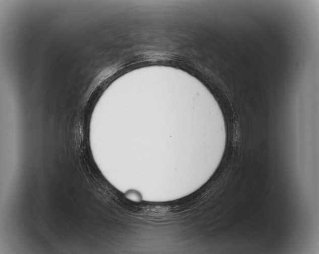 X0000103331261200810061007