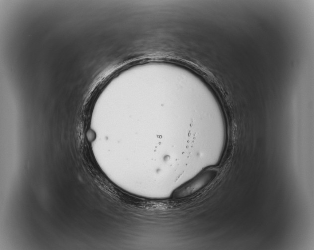 X0000103331263200810061007