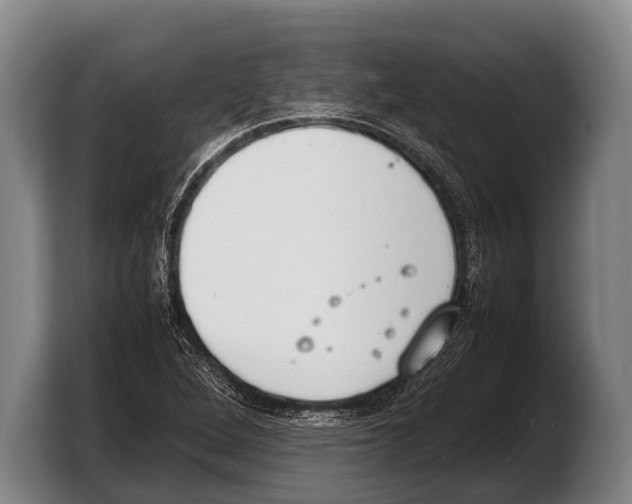 X0000103331264200810061007