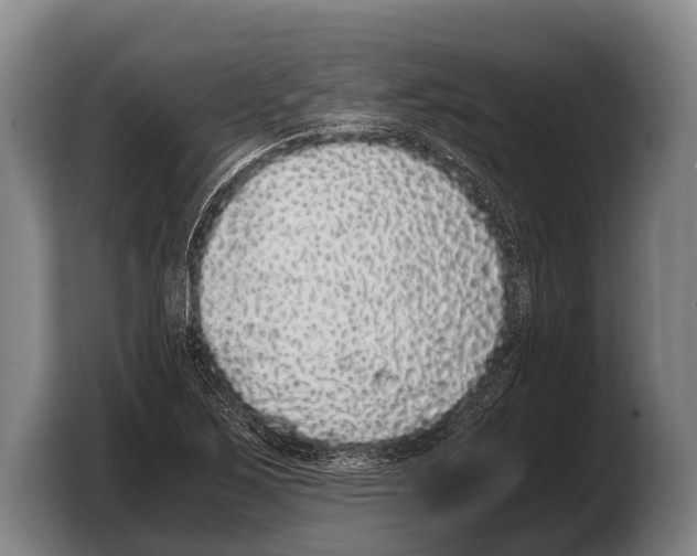 X0000103331267200810061007