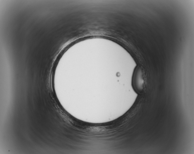 X0000103331272200810061007