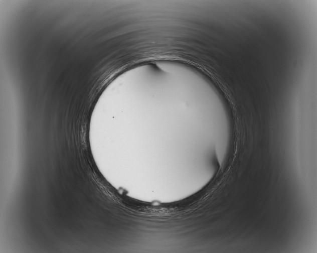 X0000103331273200810061007