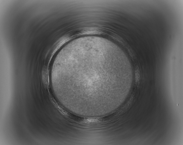 X0000103331274200810061007