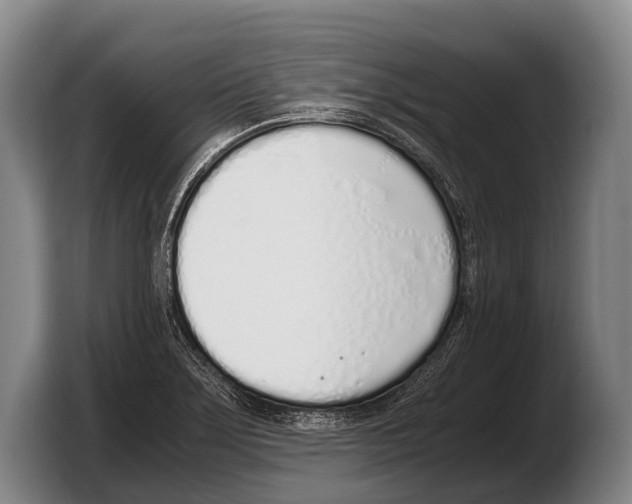 X0000103331275200810061007