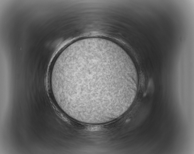 X0000103331278200810061007