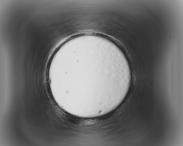 X0000103331279200810061007