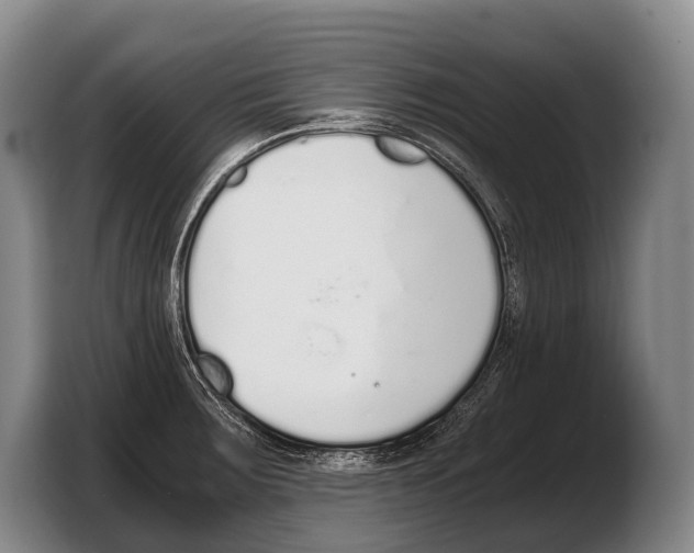 X0000103331283200810061007